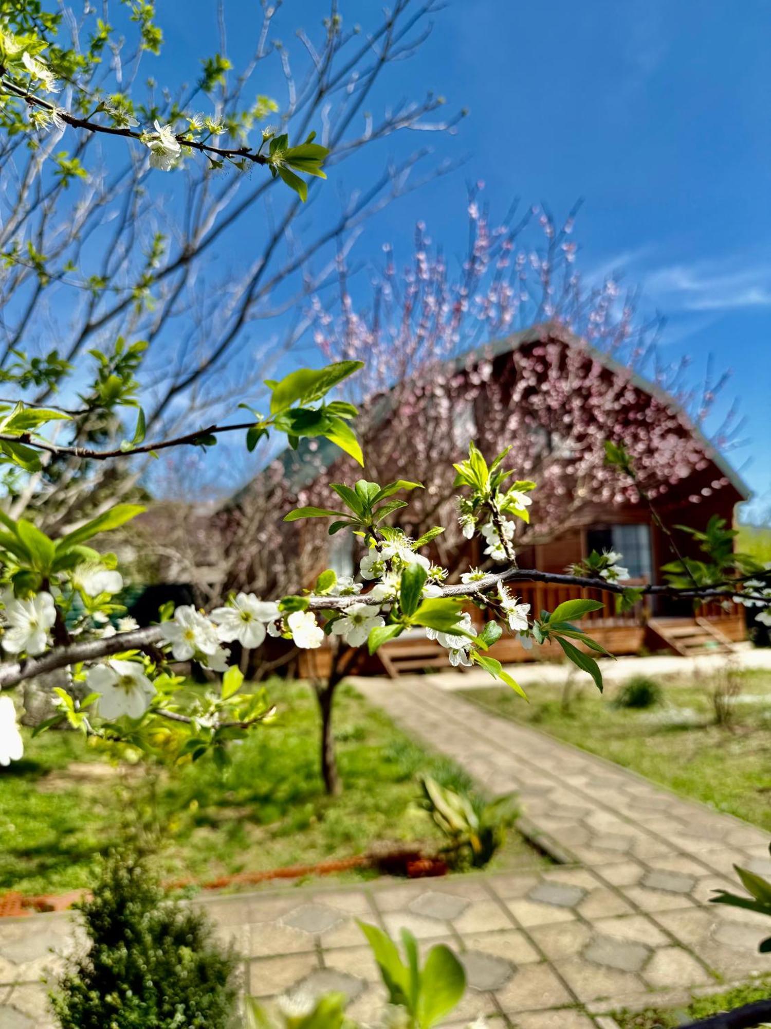 Sweet Village Tskaltubo Eksteriør bilde